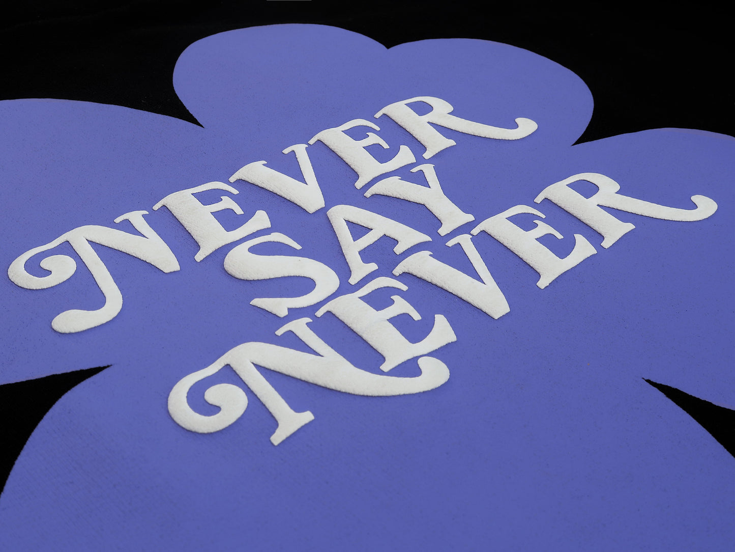 NEVER SAY NEVER HOODIE
